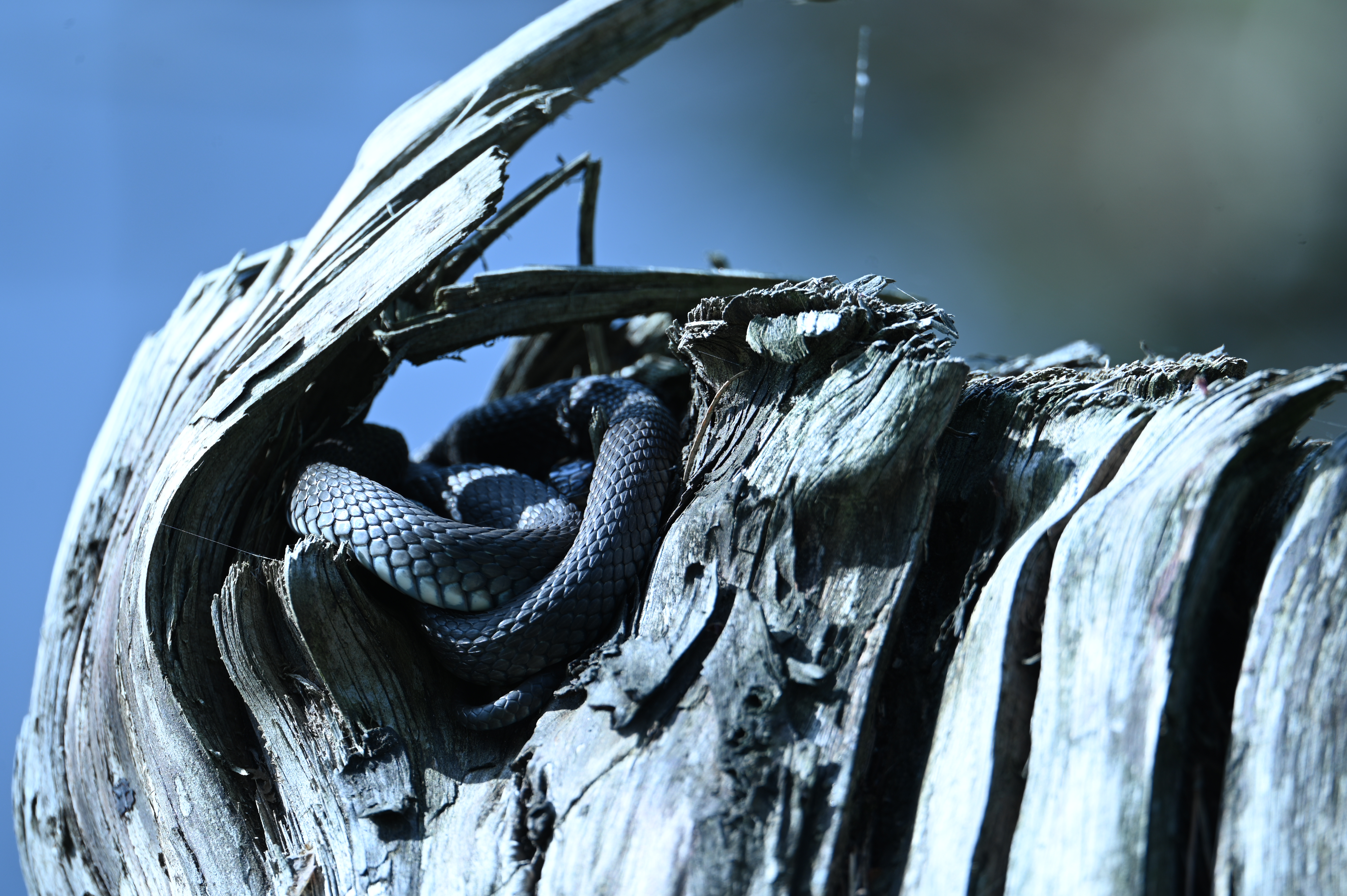 2025/07/09-14 - trip/DSC_0491.JPG